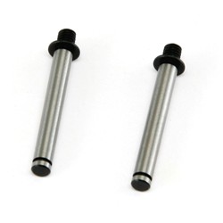 Shepherd (7) - Zen Racing