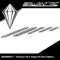 Velox V8.2 Titanium Hinge pin set 10pcs